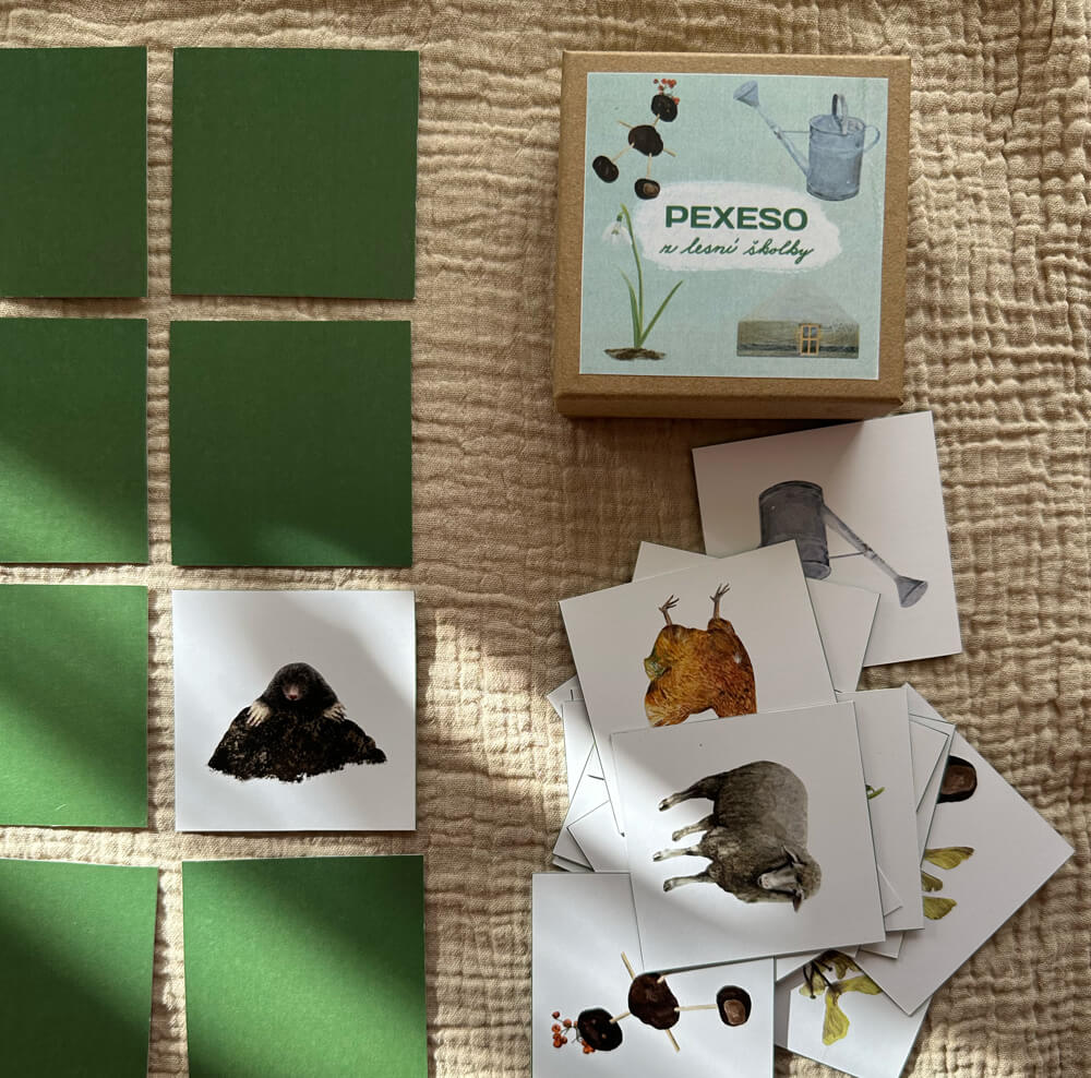 PEXESO Z lesní školky + pdf s hrou Bingo k vytištění zdarma – 1