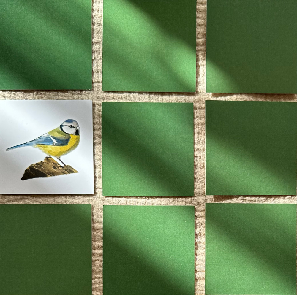 PEXESO Z lesní školky + pdf s hrou Bingo k vytištění zdarma – 2
